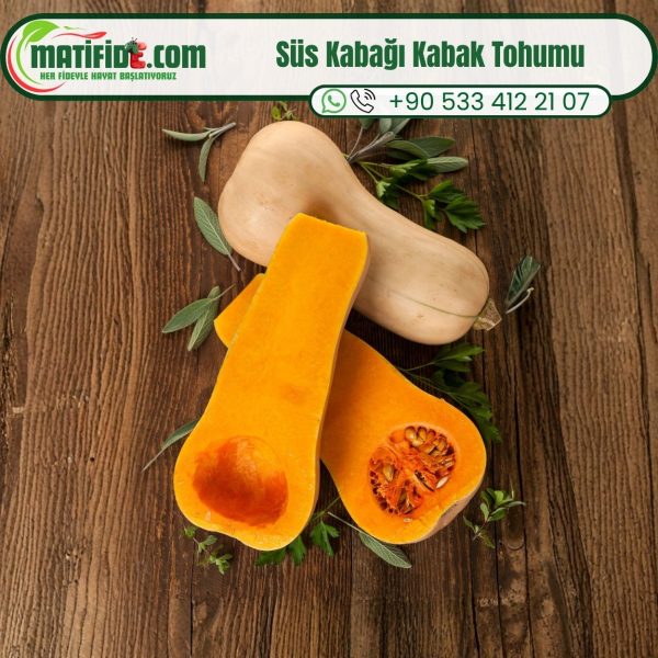 Süs Kabağı Kabak Tohumu 10 Adet